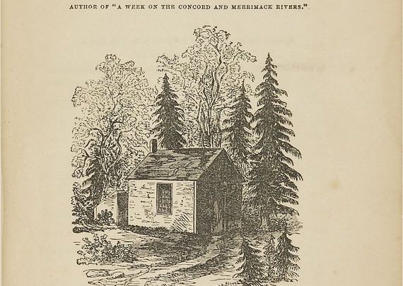 Poczytanie 74. Rokita Czyta „Walden, czyli życie w lesie” H. D. Thoreau