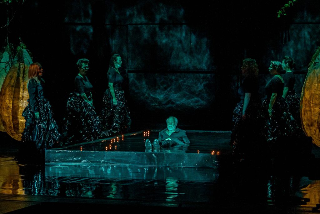 teatr nowy