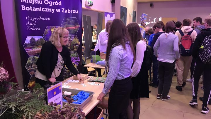 Zawód od kuchni