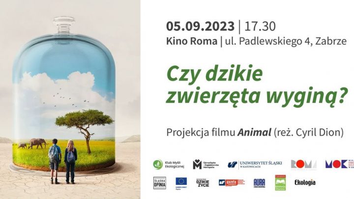 Czy dzikie zwierzęta wyginą? – pokaz filmu „Animal” z dyskusją