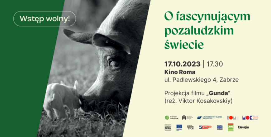kino roma