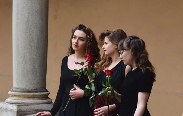 Rosa Triplex