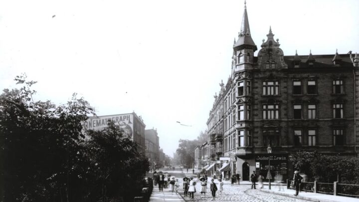 Od wiaduktów do lwów, czyli spacer ul. 3 Maja